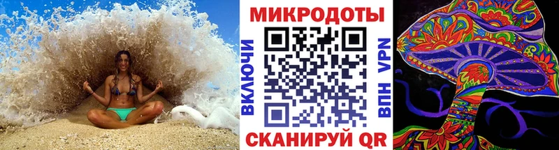 цена Карачев Галлюциногенные грибы Magic Shrooms